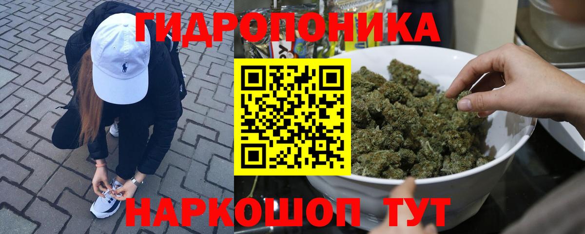 Бошки марихуана планчик Пенза